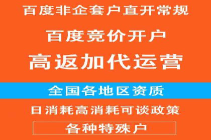 百度竞价广告投放成功案例解析